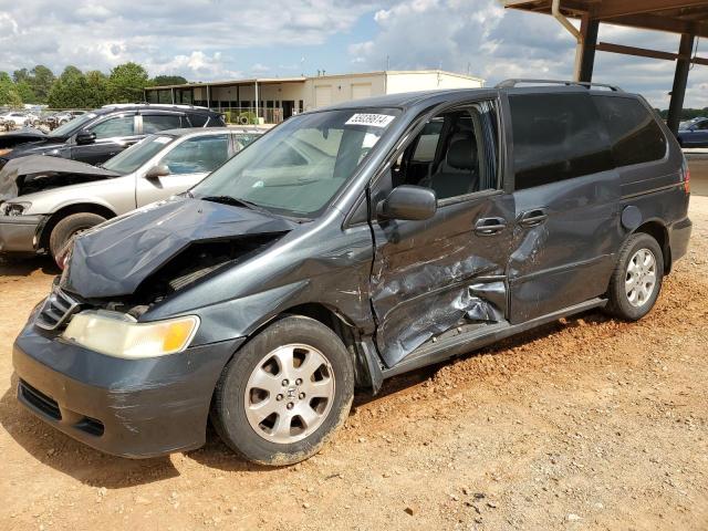 2004 Honda Odyssey Exl VIN: 5FNRL18004B022001 Lot: 55039814