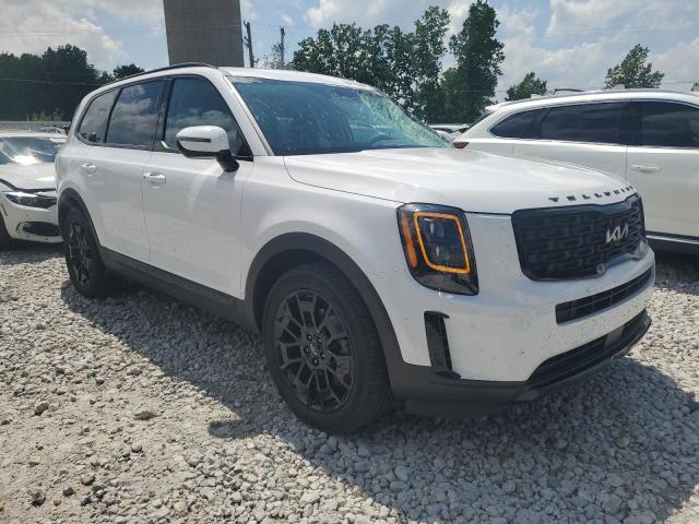 2022 Kia Telluride Ex VIN: 5XYP3DHC8NG300138 Lot: 55373014