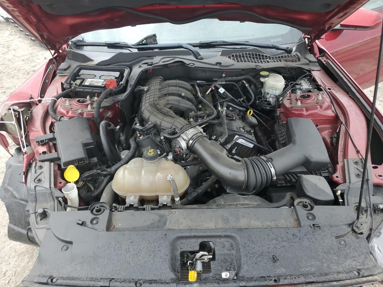 1FA6P8AM9F5353683 2015 Ford Mustang