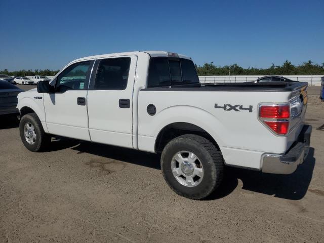 2010 Ford F150 Supercrew VIN: 1FTEW1E87AKE80522 Lot: 55867184