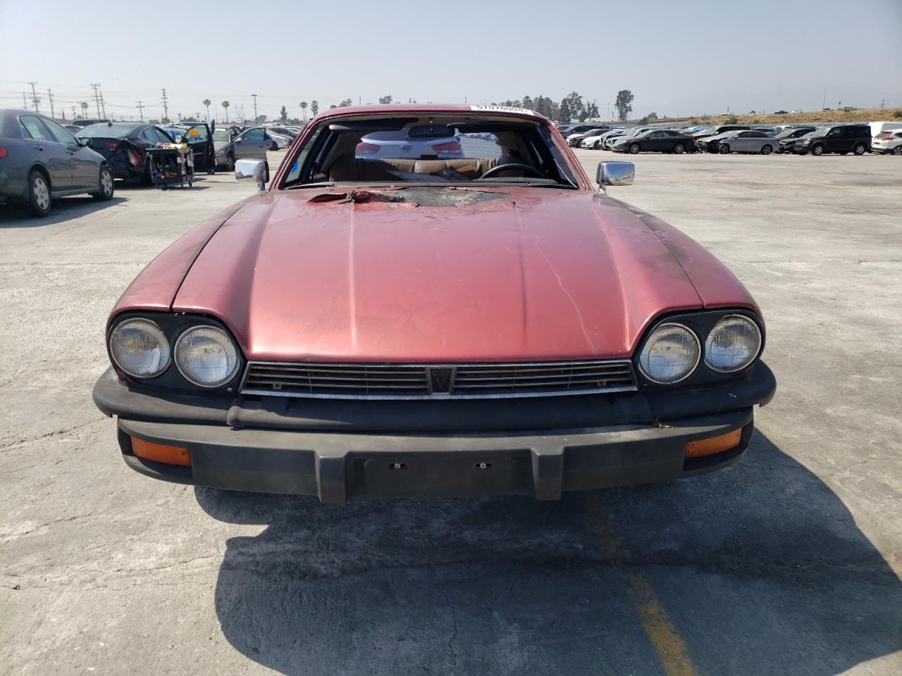 JNVEX49C103275 1979 Jaguar Xjs