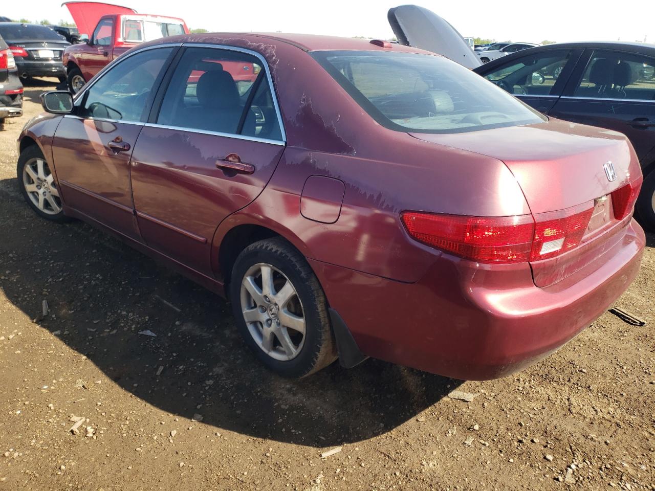 1HGCM66505A067207 2005 Honda Accord Ex