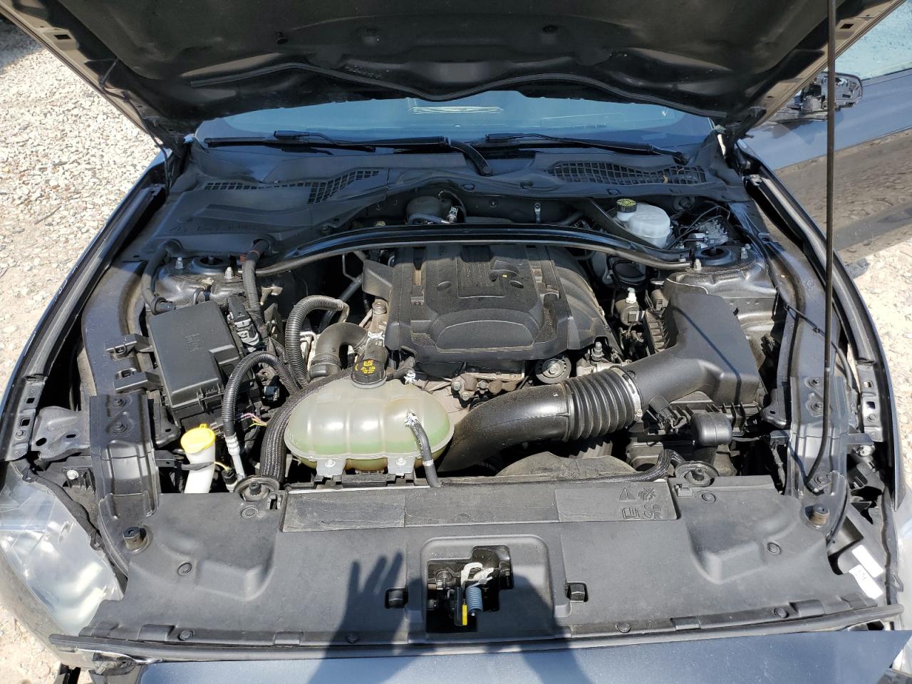 1FA6P8TH3K5178017 2019 Ford Mustang