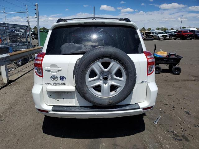 2010 Toyota Rav4 VIN: 2T3BF4DV3AW075602 Lot: 54285844