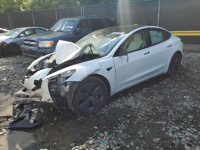 5YJ3E1EB1MF858566 2021 TESLA MODEL 3 - Image 1