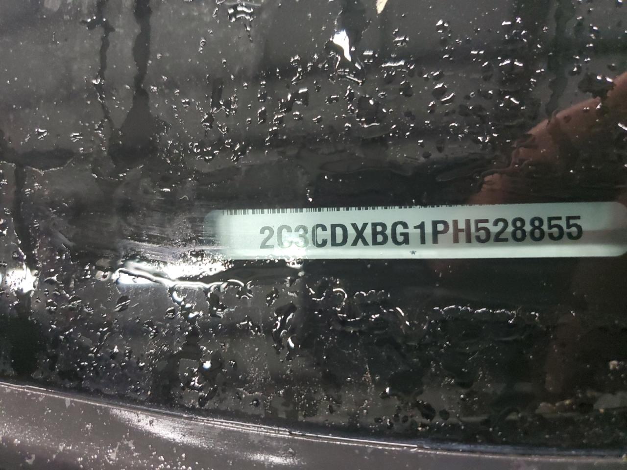 2C3CDXBG1PH528855 2023 Dodge Charger Sxt