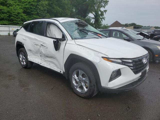 2023 Hyundai Tucson Sel VIN: 5NMJBCAE9PH253113 Lot: 55975094