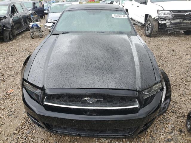 2013 Ford Mustang VIN: 1ZVBP8EM4D5219550 Lot: 55505244