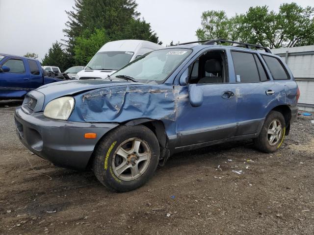 2003 Hyundai Santa Fe Gls VIN: KM8SC13D93U364317 Lot: 54063134