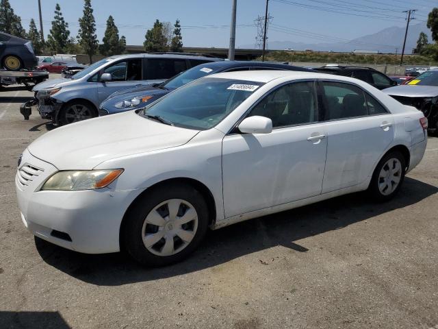 Lot #2505891440 2009 TOYOTA CAMRY BASE salvage car