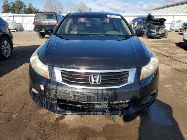 2009 Honda Accord Exl VIN: 1HGCP36859A800955 Lot: 53261324