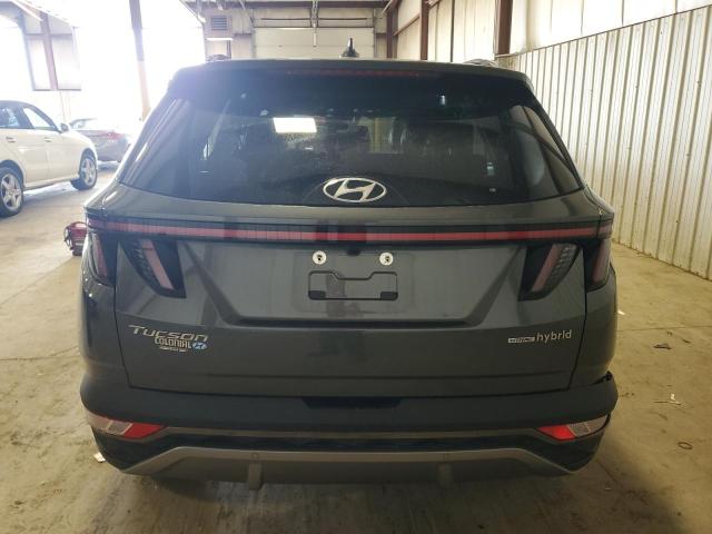 2023 Hyundai Tucson Limited VIN: KM8JECA19PU119730 Lot: 54324484