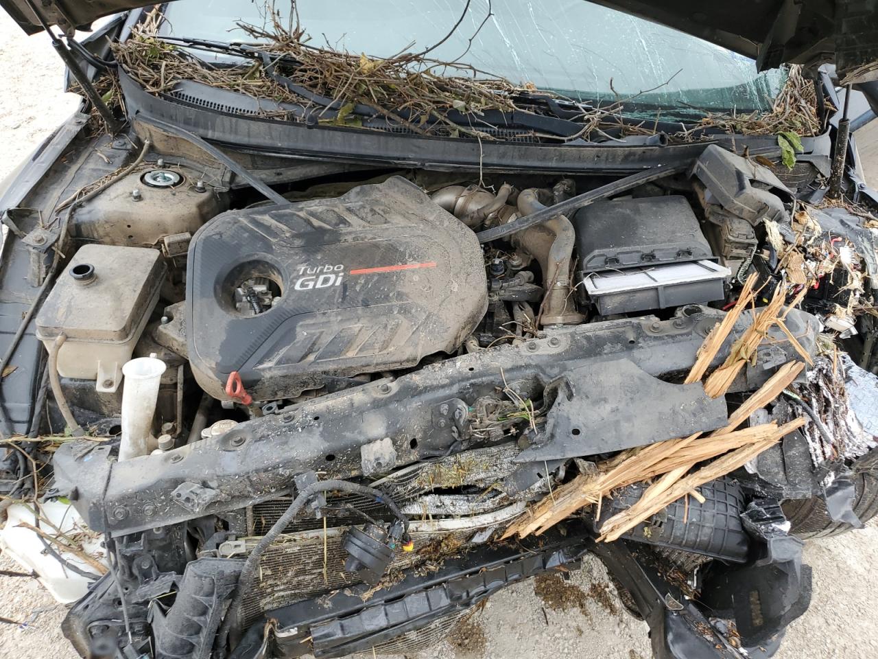 5NPE34AB4FH188778 2015 Hyundai Sonata Sport