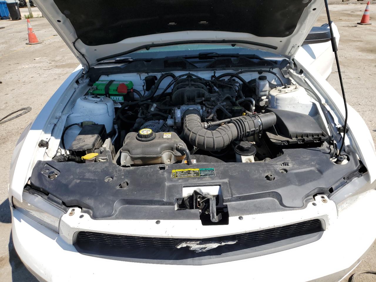 1ZVBP8ENXA5119568 2010 Ford Mustang