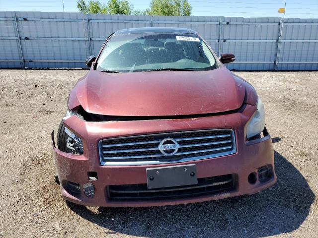 2010 Nissan Maxima S VIN: 1N4AA5AP1AC823620 Lot: 53630174