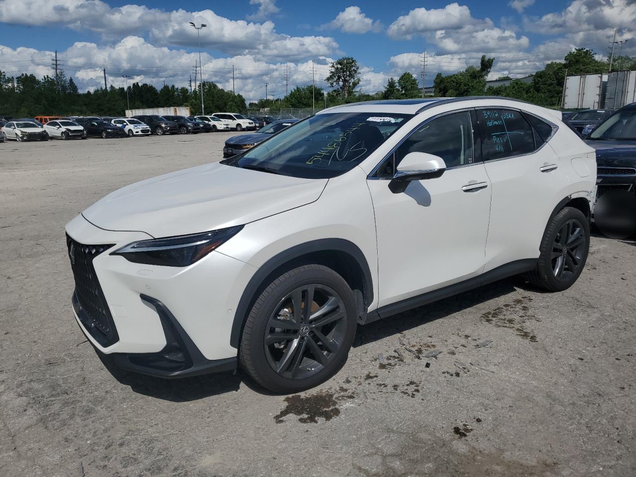 Lexus NX 2023 Luxury