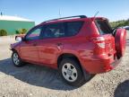 Lot #2894662254 2011 TOYOTA RAV4