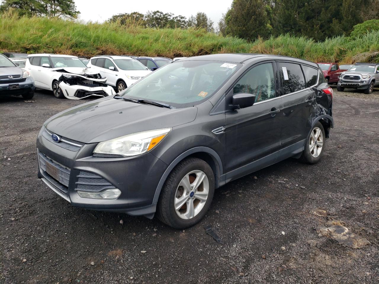 Lot #2824334998 2016 FORD ESCAPE SE