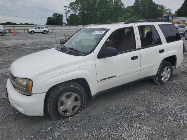 2002 Chevrolet Trailblazer VIN: 1GNDT13S922213314 Lot: 54389254