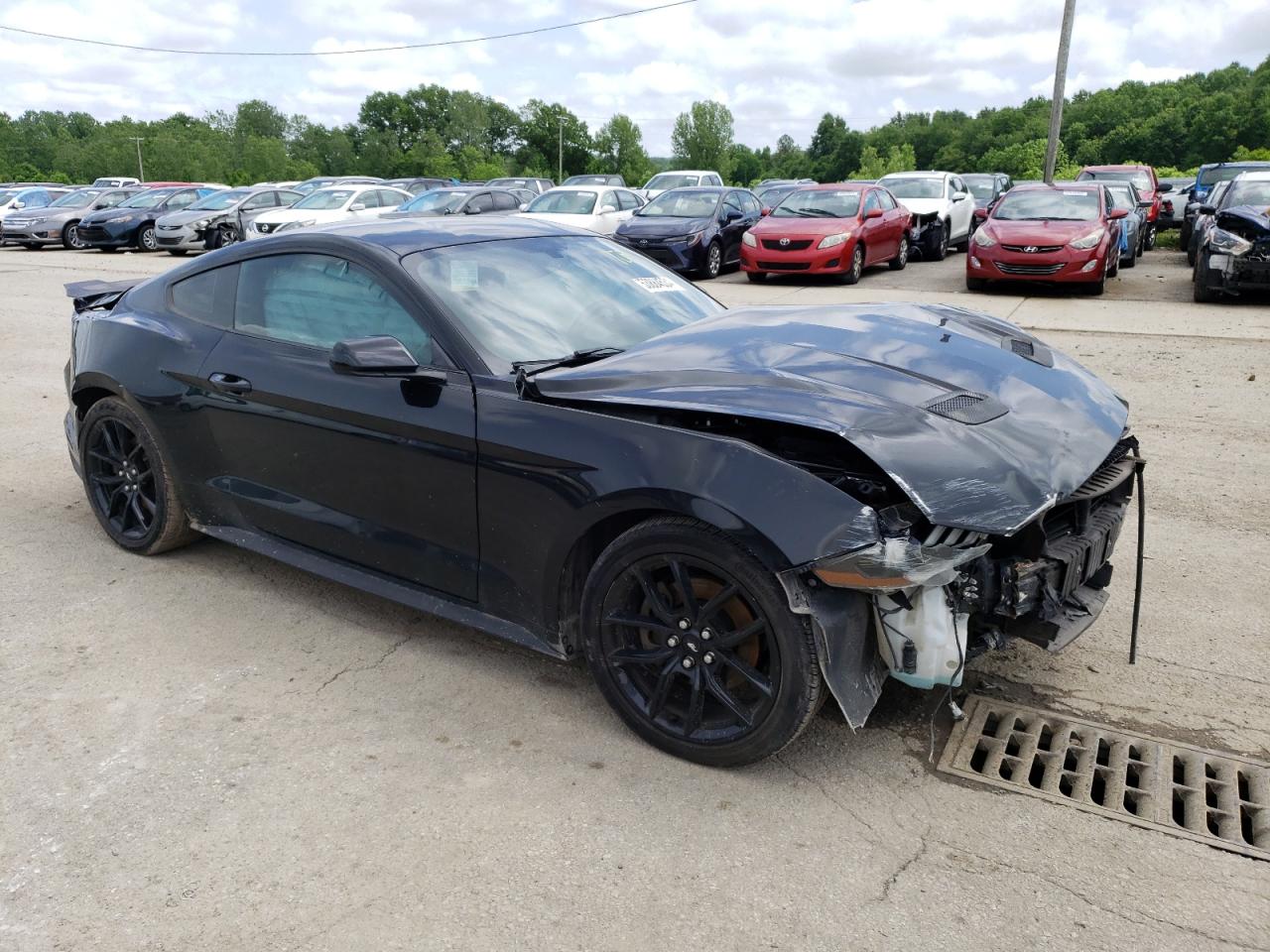 1FA6P8TH7K5169367 2019 Ford Mustang