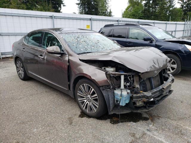 2014 Kia Cadenza Premium VIN: KNALN4D79E5156560 Lot: 53307804