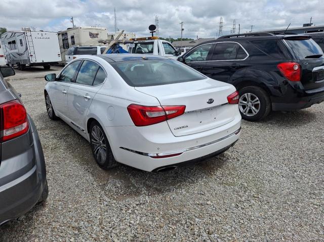 2014 Kia Cadenza Premium VIN: KNALN4D74E5135292 Lot: 55657254