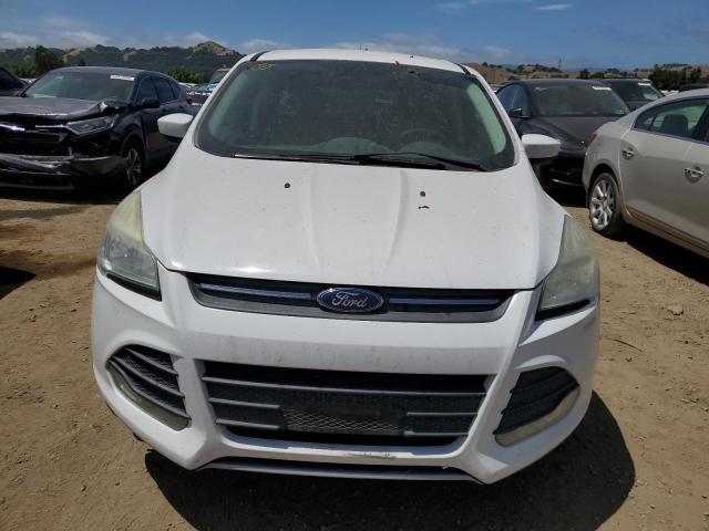 2014 Ford Escape Se VIN: 1FMCU0GX1EUC68734 Lot: 56502964