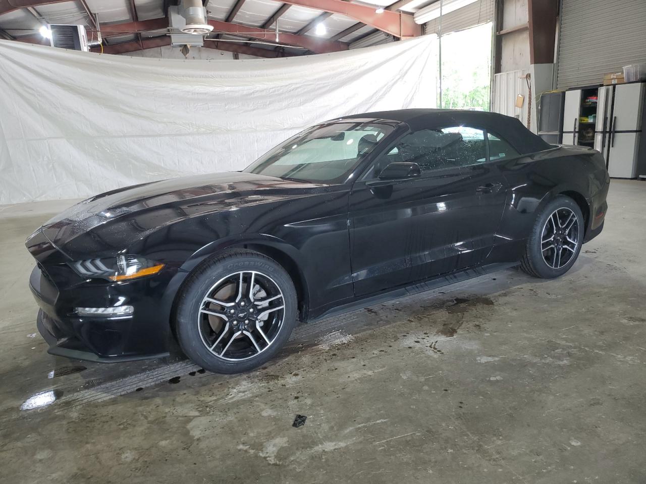 Lot #2572143969 2022 FORD MUSTANG