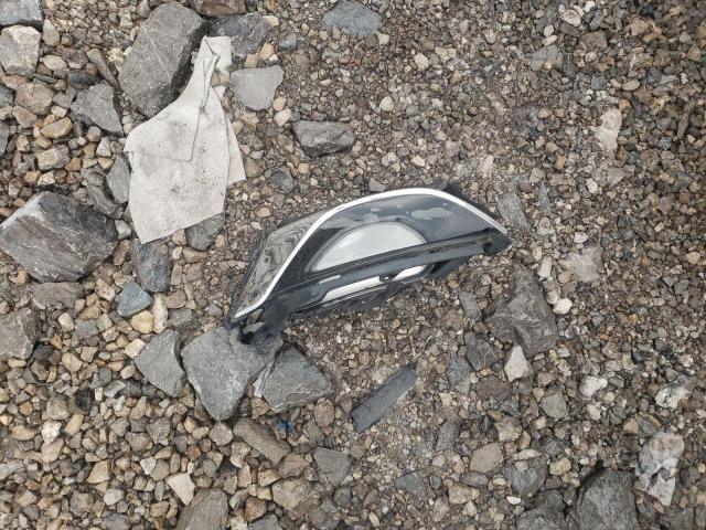 2014 Kia Cadenza Premium VIN: KNALN4D70E5159704 Lot: 53766994