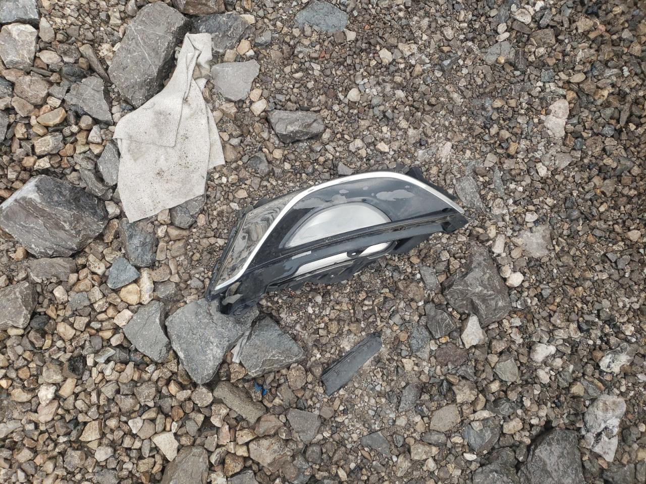 KNALN4D70E5159704 2014 Kia Cadenza Premium