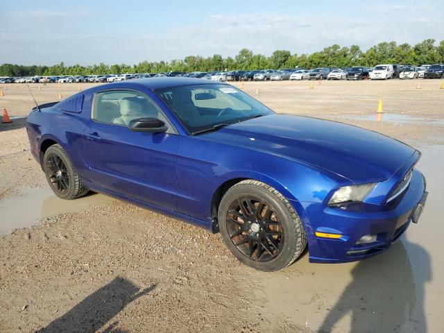 2014 Ford Mustang VIN: 1ZVBP8AM5E5231388 Lot: 56755344