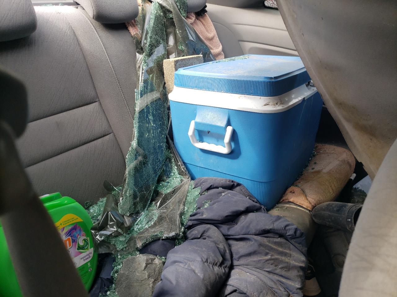 2HGFG12627H501119 2007 Honda Civic Lx