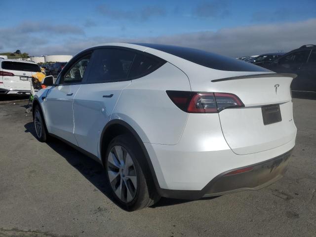 2023 Tesla Model Y VIN: 7SAYGDEE2PF613889 Lot: 54724854