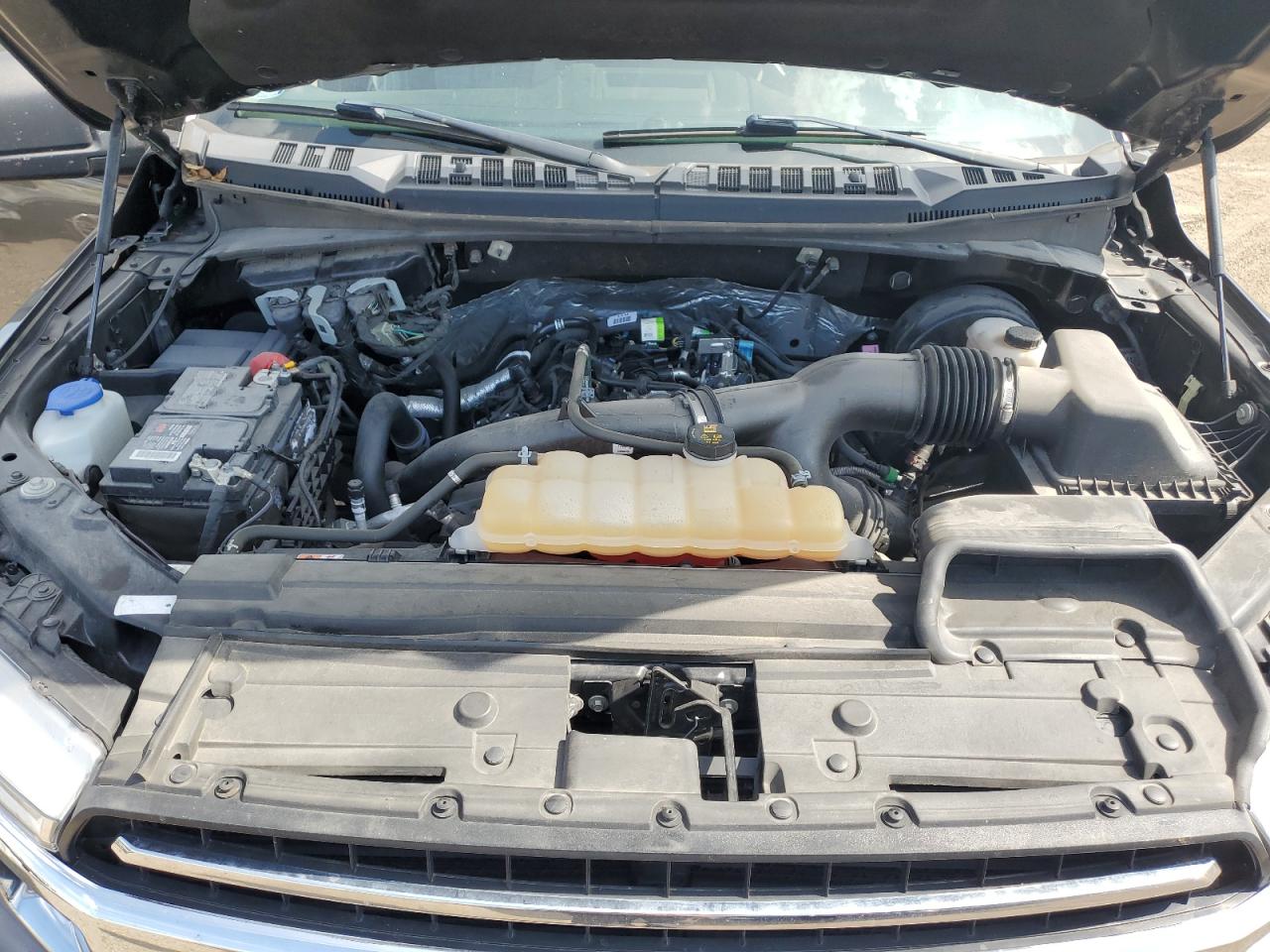 1FTMF1CP7KKC28177 2019 Ford F150