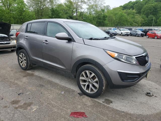 2014 Kia Sportage Lx VIN: KNDPBCACXE7550260 Lot: 53517324