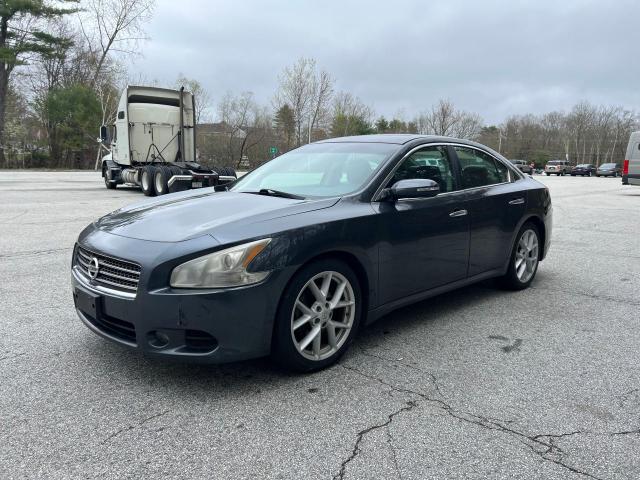 2009 Nissan Maxima S VIN: 1N4AA51E49C825548 Lot: 54020724