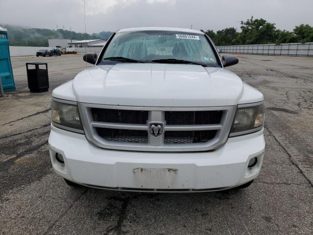 2011 Dodge Dakota Slt VIN: 1D7RW3GP7BS701917 Lot: 56801244