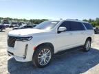 2024 CADILLAC ESCALADE E - 1GYS4KKL3RR125531
