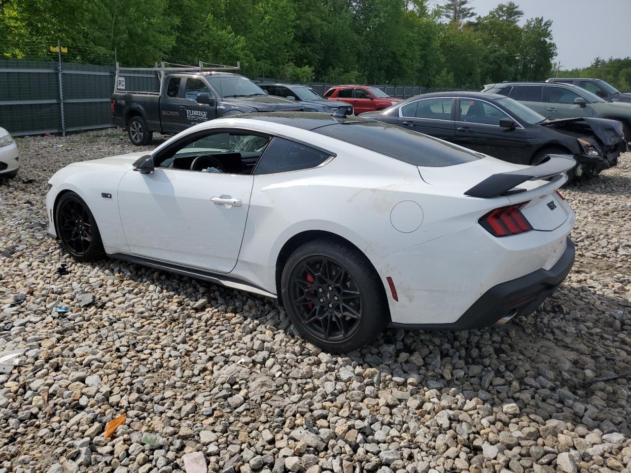 Lot #2902764320 2024 FORD MUSTANG GT