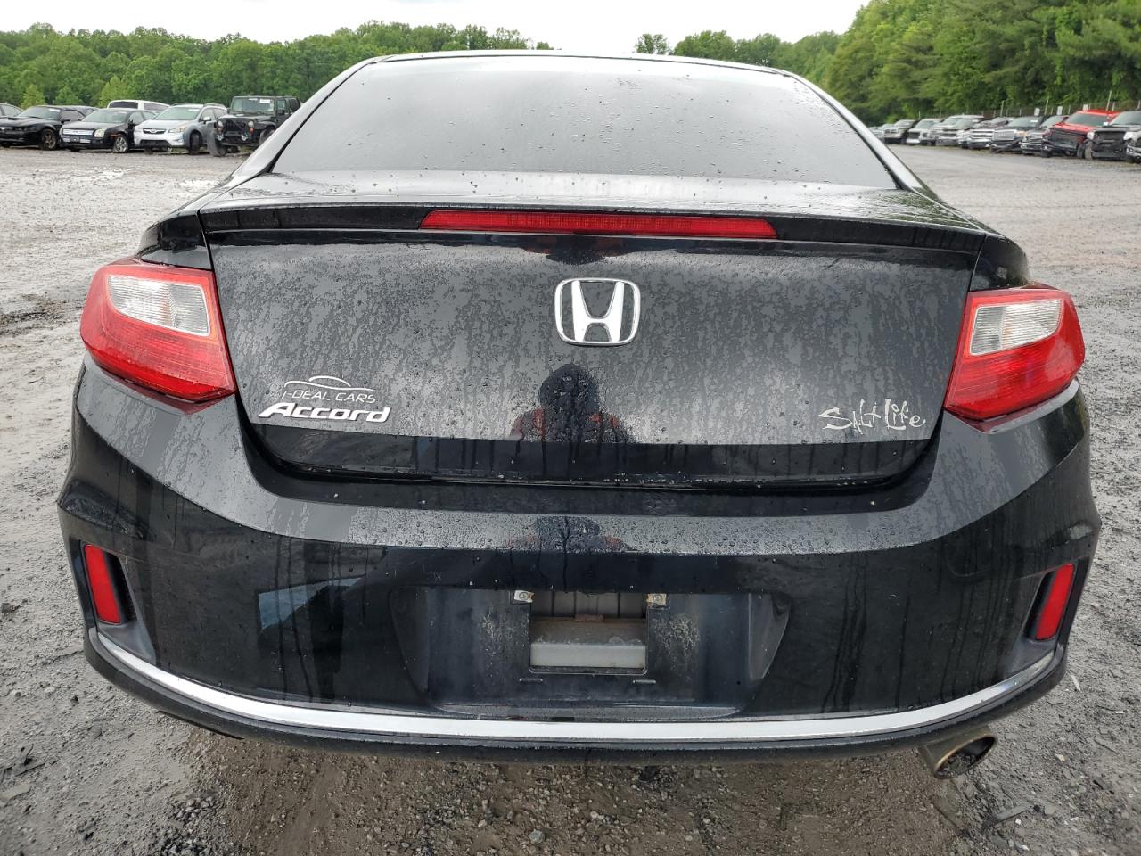 2013 Honda Accord Lx-S vin: 1HGCT1A36DA004445