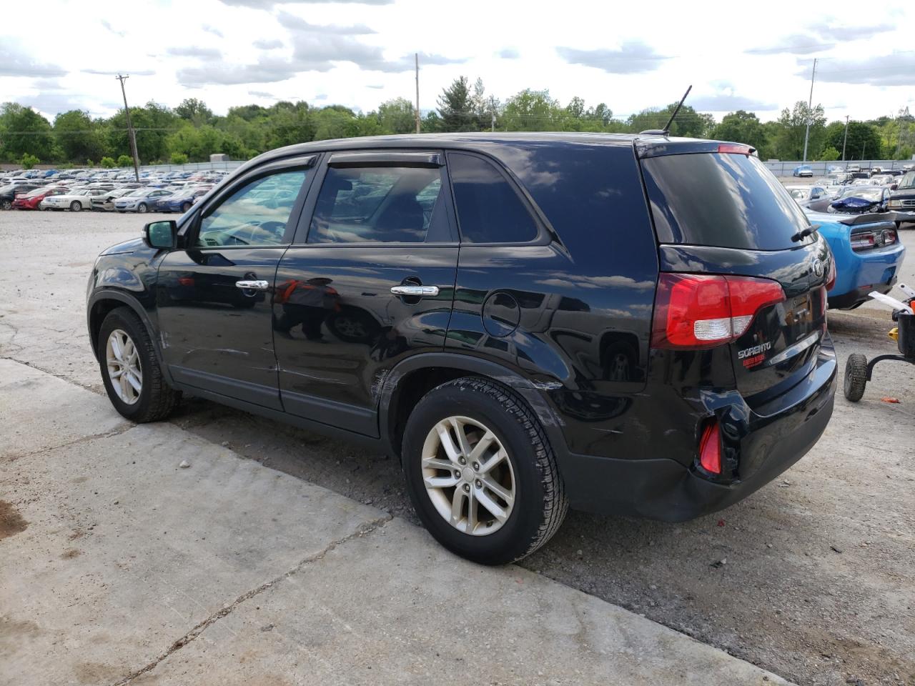 Lot #2603450542 2014 KIA SORENTO LX