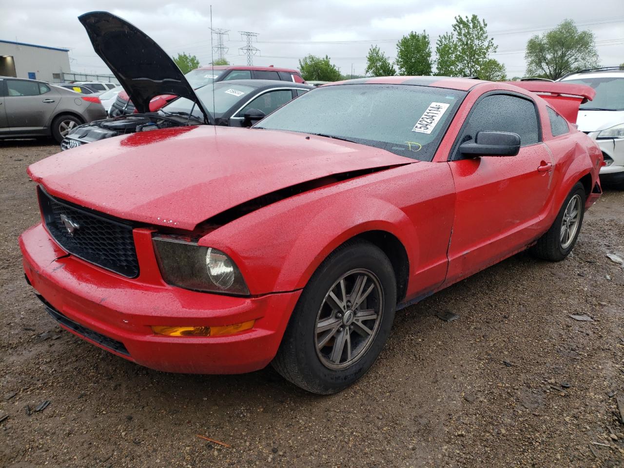 1ZVFT80N455126414 2005 Ford Mustang