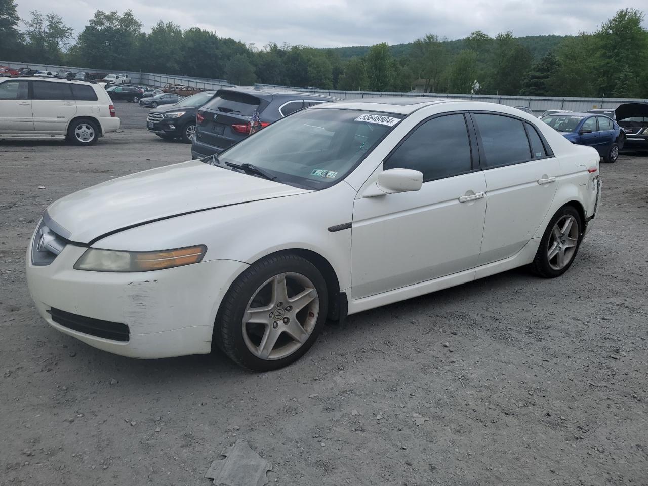 19UUA66205A024084 2005 Acura Tl