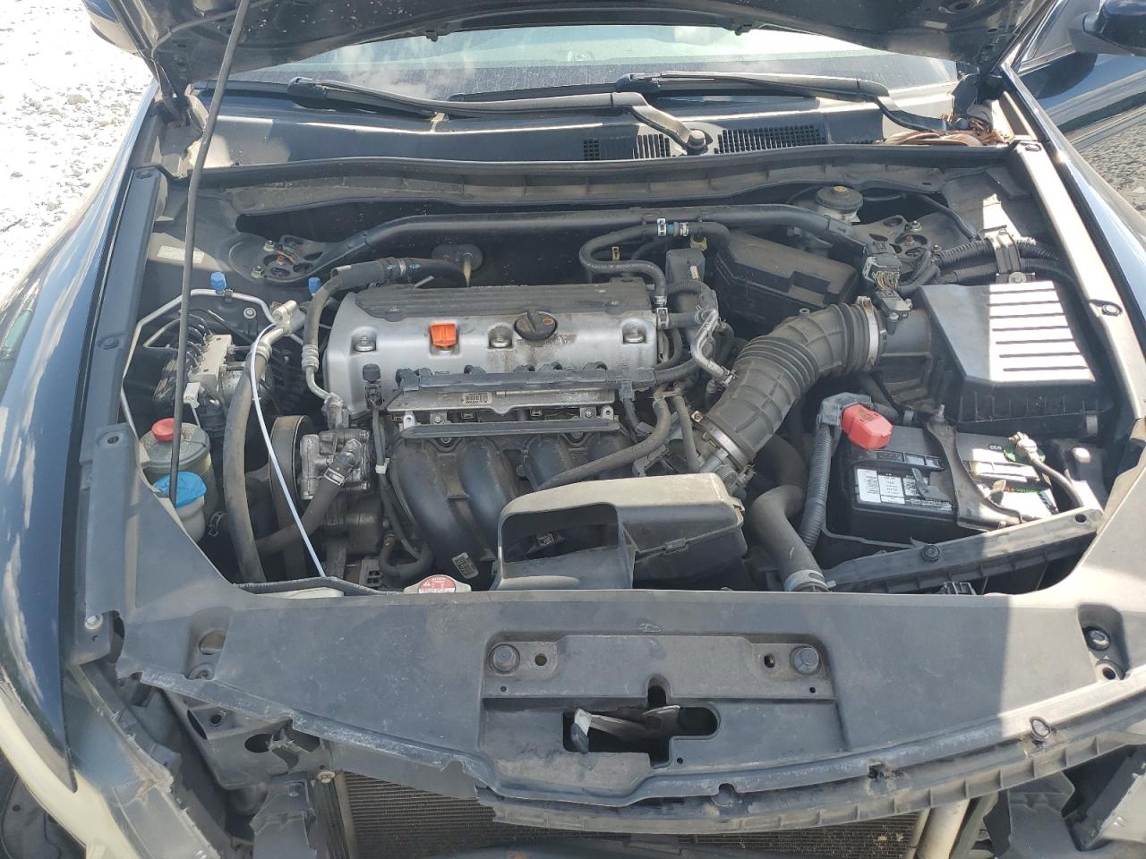 1HGCS1B86BA003693 2011 Honda Accord Exl