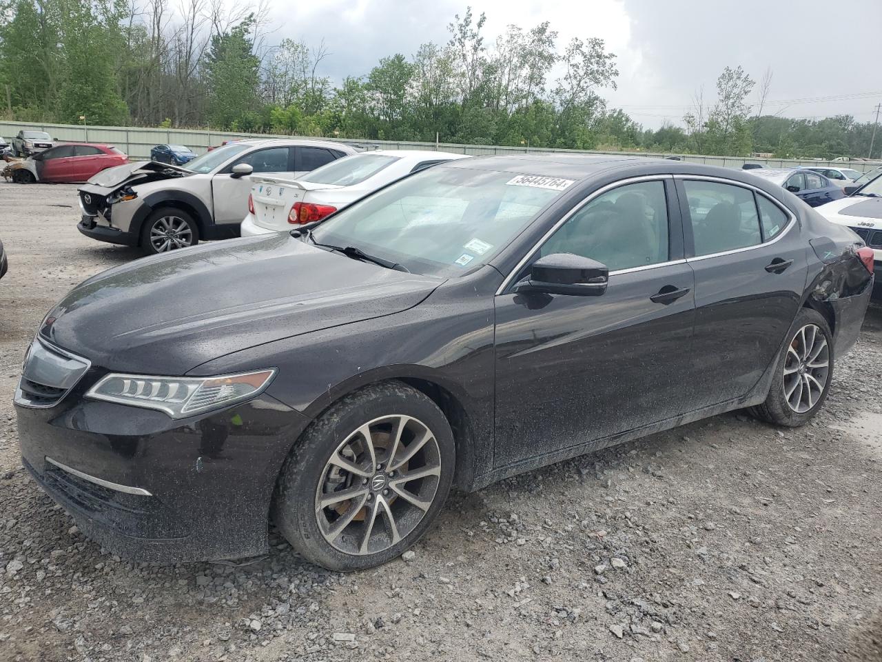 19UUB2F57FA012645 2015 Acura Tlx Tech