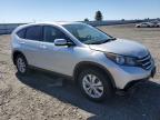 HONDA CR-V EX photo