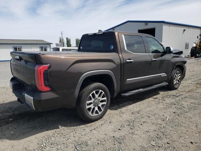 2022 Toyota Tundra Crewmax Platinum VIN: 5TFMA5DB3NX019857 Lot: 55043944