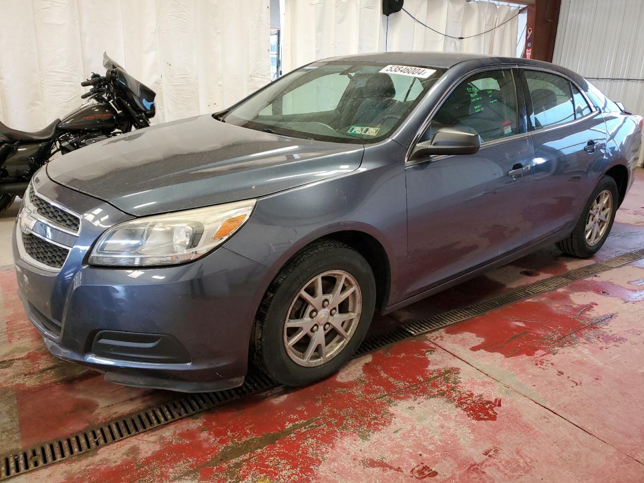 1G11A5SA0DF282558 2013 Chevrolet Malibu Ls