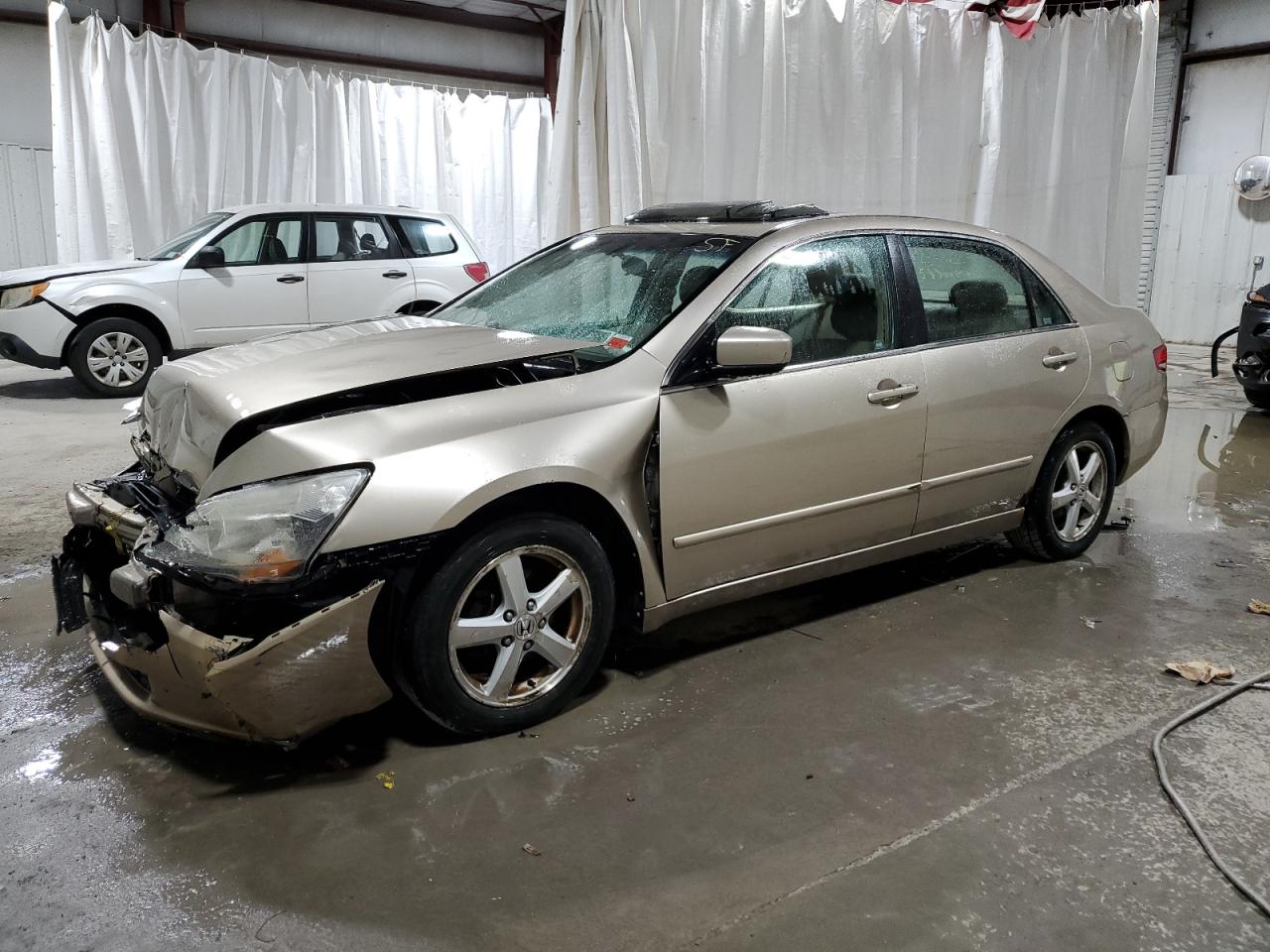 1HGCM56693A101631 2003 Honda Accord Ex