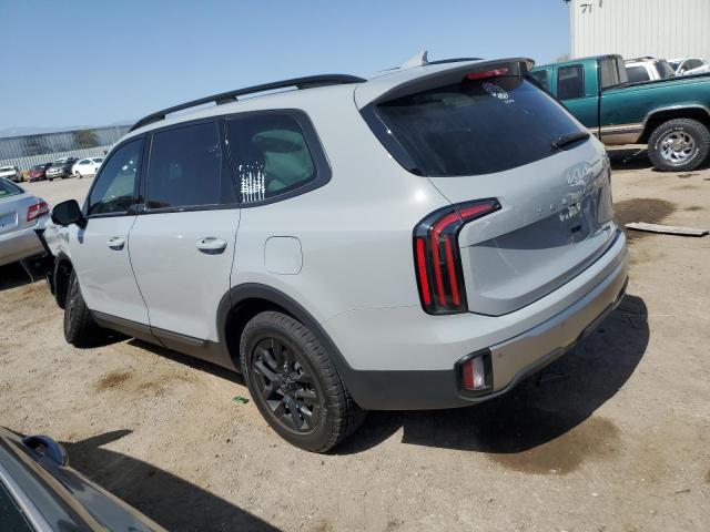 2023 Kia Telluride Sx VIN: 5XYP5DGC8PG388137 Lot: 56517294